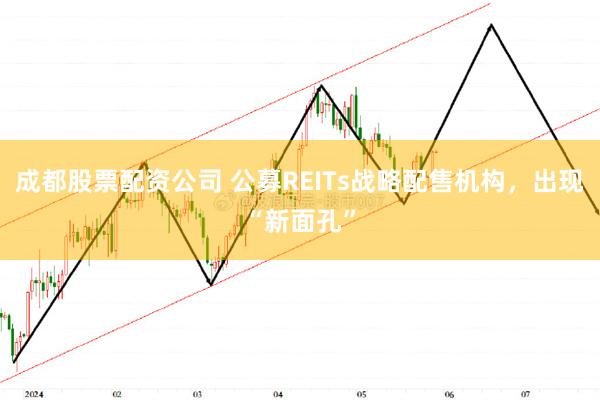 成都股票配资公司 公募REITs战略配售机构，出现“新面孔”