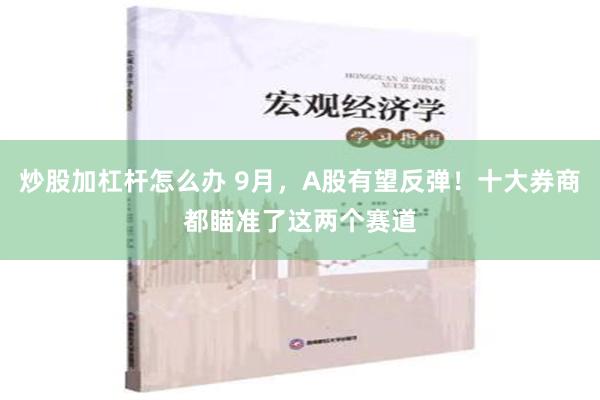 炒股加杠杆怎么办 9月，A股有望反弹！十大券商都瞄准了这两个赛道