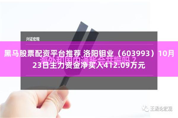 黑马股票配资平台推荐 洛阳钼业（603993）10月23日主力资金净买入412.09万元