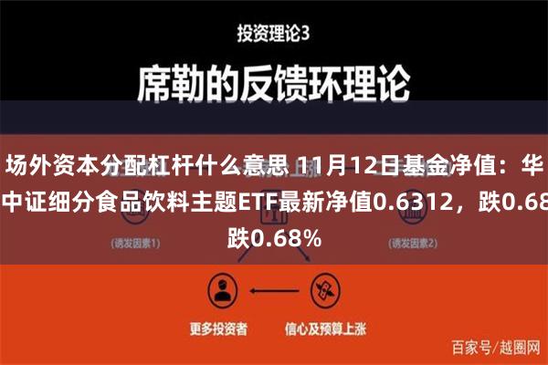 场外资本分配杠杆什么意思 11月12日基金净值：华夏中证细分食品饮料主题ETF最新净值0.6312，跌0.68%