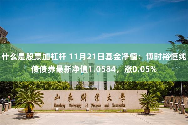 什么是股票加杠杆 11月21日基金净值：博时裕恒纯债债券最新净值1.0584，涨0.05%