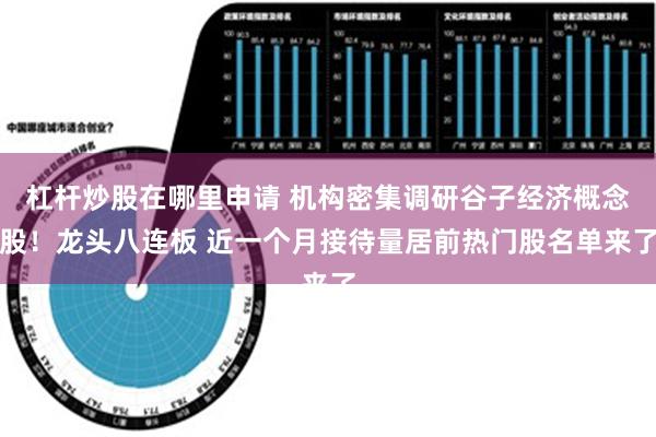 杠杆炒股在哪里申请 机构密集调研谷子经济概念股！龙头八连板 近一个月接待量居前热门股名单来了