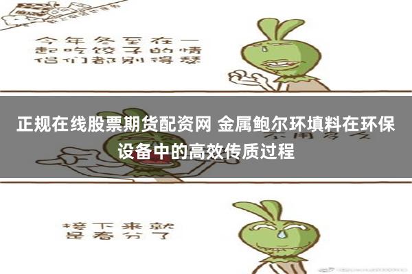 正规在线股票期货配资网 金属鲍尔环填料在环保设备中的高效传质过程