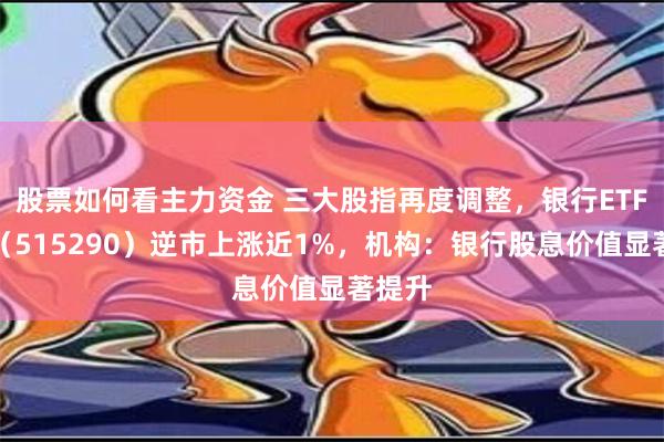 股票如何看主力资金 三大股指再度调整，银行ETF天弘（515290）逆市上涨近1%，机构：银行股息价值显著提升